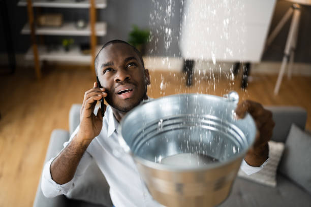 Best Ceiling water damage repair  in Maxwell, CA