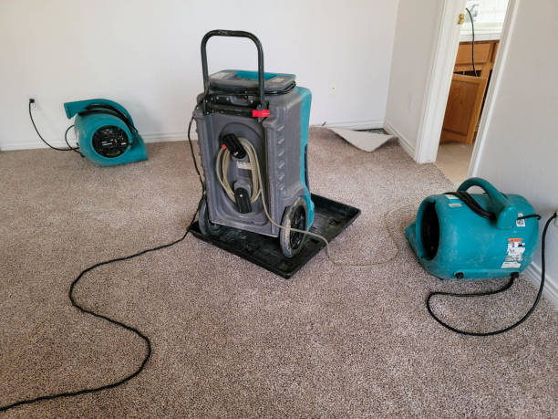 Best Commercial water damage restoration  in Maxwell, CA