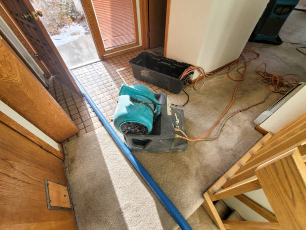 Best Basement water damage restoration  in Maxwell, CA