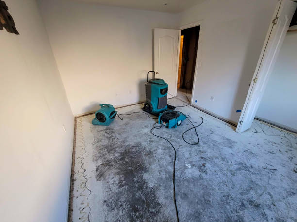Best Ceiling water damage repair  in Maxwell, CA